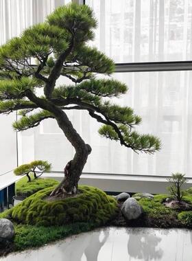 大型KVG松树店中式迎观客罗汉松松假商场酒装饰造型景枯山水摆件