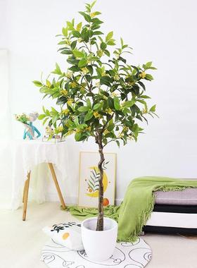 仿真桂树盆民栽仿大型真花花树54030酒店宿落地摆件装饰人造月桂盆景