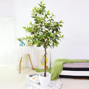 仿真桂树盆民栽仿大型真花花树54030酒店宿落地摆件装饰人造月桂盆景