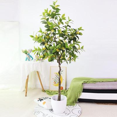 仿真桂树盆民栽仿大型真花花树54030酒店宿落地摆件装饰人造月桂盆景