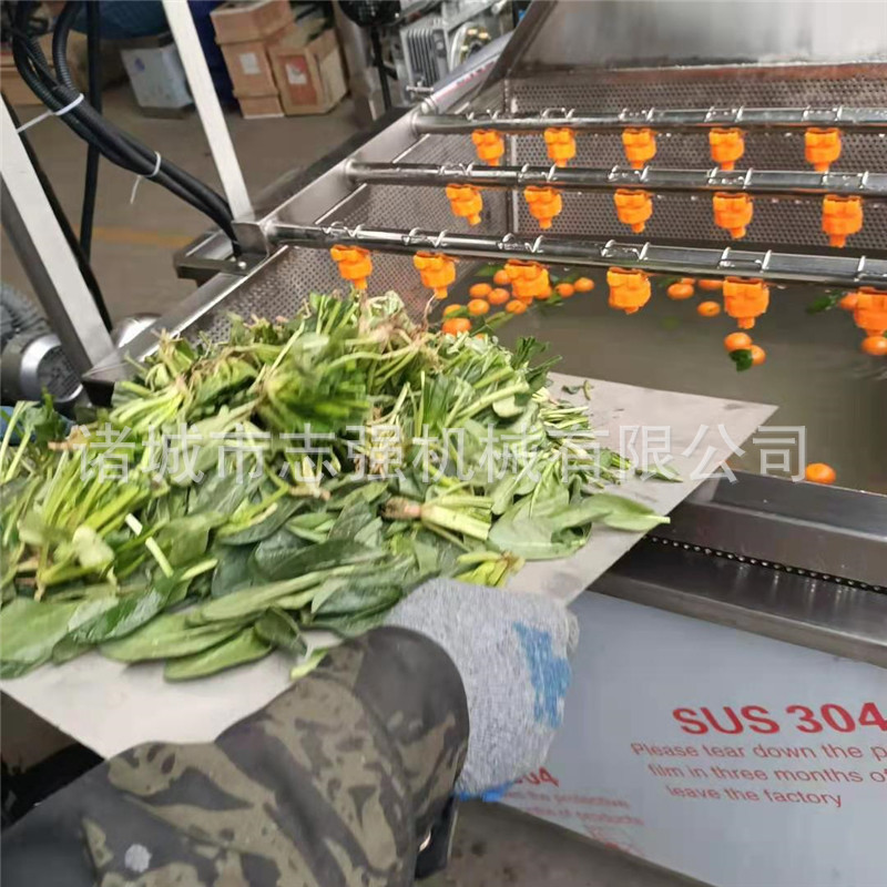 果蔬净菜气泡臭氧喷淋清洗机