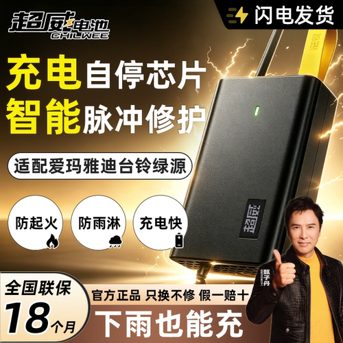 适用爱玛雅迪台铃绿源】质保18月