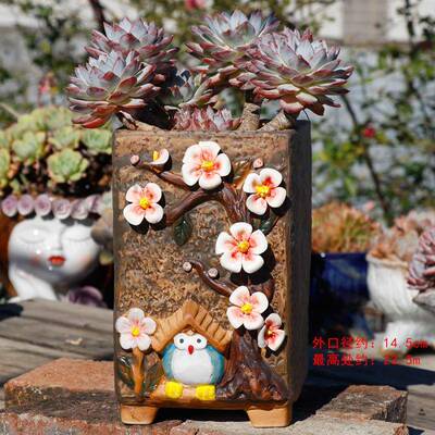 意创高颜值家老居多花盆创ZFR意捏花庄装肉饰摆件