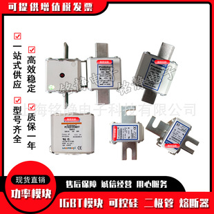 F086186 罗兰熔断器 FD20GC100V50T FD20GB100V20T D089496