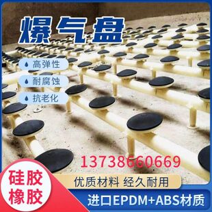 污水处理曝气盘215/260/300橡胶盘式膜片 曝气器曝气盘微孔曝气头