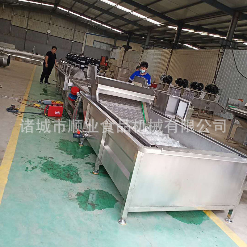全自动气泡清洗机 蔬菜洗菜机根茎类清洗专用 鲜果喷淋清洗设备
