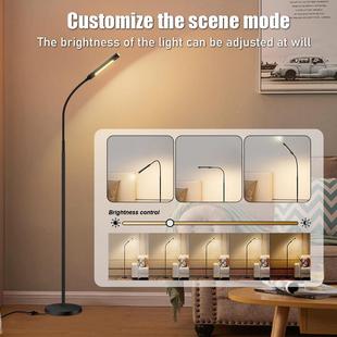 双色暖阅38644光发落地读落地氛围灯卧室照明沙客灯厅遥控可色温