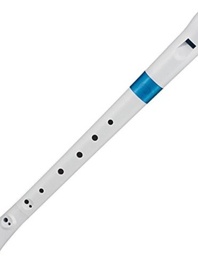 nuvo努沃方便携带Recorder 塑料竖笛长笛塑胶入门水儿童启蒙乐器