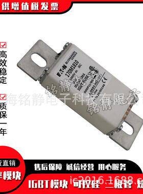170M10127301170M1731170M73217M17331700M1734巴斯曼熔断器现货