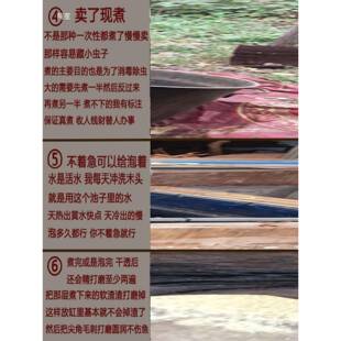 鱼缸台造景木树桩条树根拱桥乌龟晒无品牌/木头紫柚沉小躲避大型