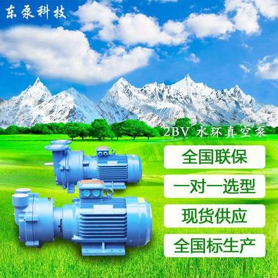 山东LWB泵卧式2BVa联水环真空泵全国保fng爆东真空泵直连式真空泵