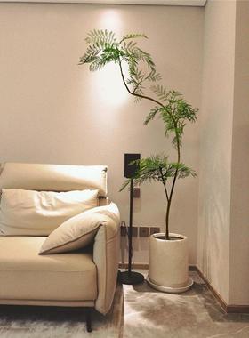 仿真绿植蓝19151花楹内客厅高轻奢装饰大型室落地端花盆栽树仿生