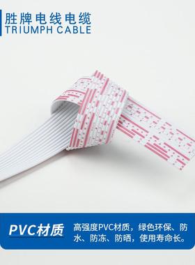 2PFX468P排线24A排WG蓝白线7P8P1012P镀锡铜丝端子连接线