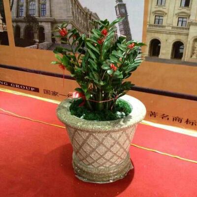 仿古石青石花26060岗岩花盆园景观大钵理雕石汉白玉花花林盆可