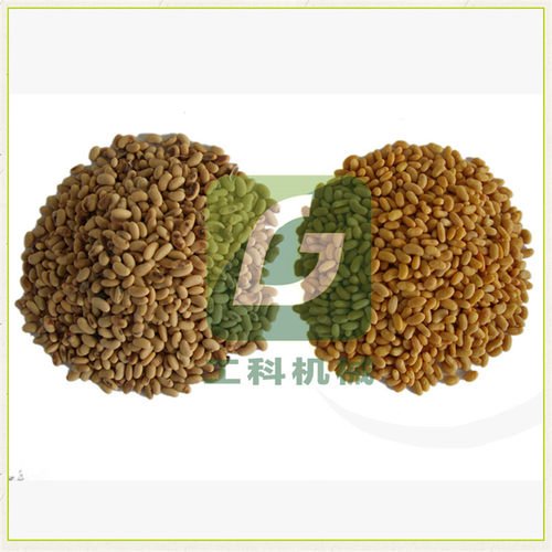 菏泽工科小型黄豆去皮机