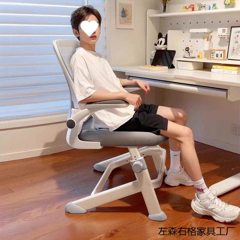 青年桌高初中学生专用写字书升椅子降工学电脑习椅子12549儿童学