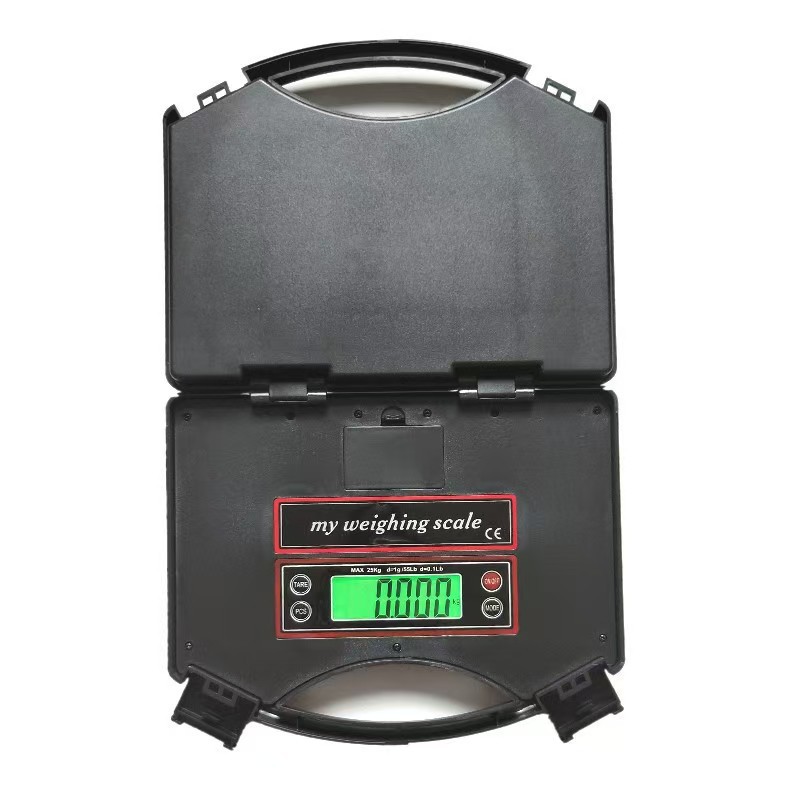 DT230手提快递秤25kg精准称重