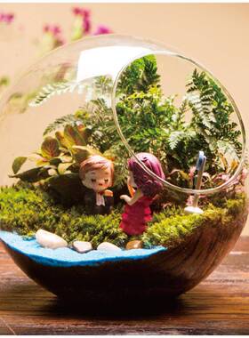 创意礼品苔藓景tz-20181观微景观生微态瓶装套情侣求婚礼物大号斜