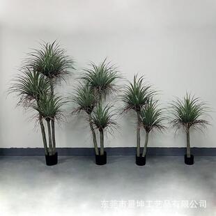 仿真龙血铁树盆栽热木植物千年盆带景室橱窗装饰内外落地JK—龙血