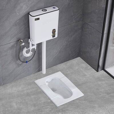 家用瓷蹲便器冲水陶箱套装整卫生间大便器便蹲池厕所坑式防臭9987