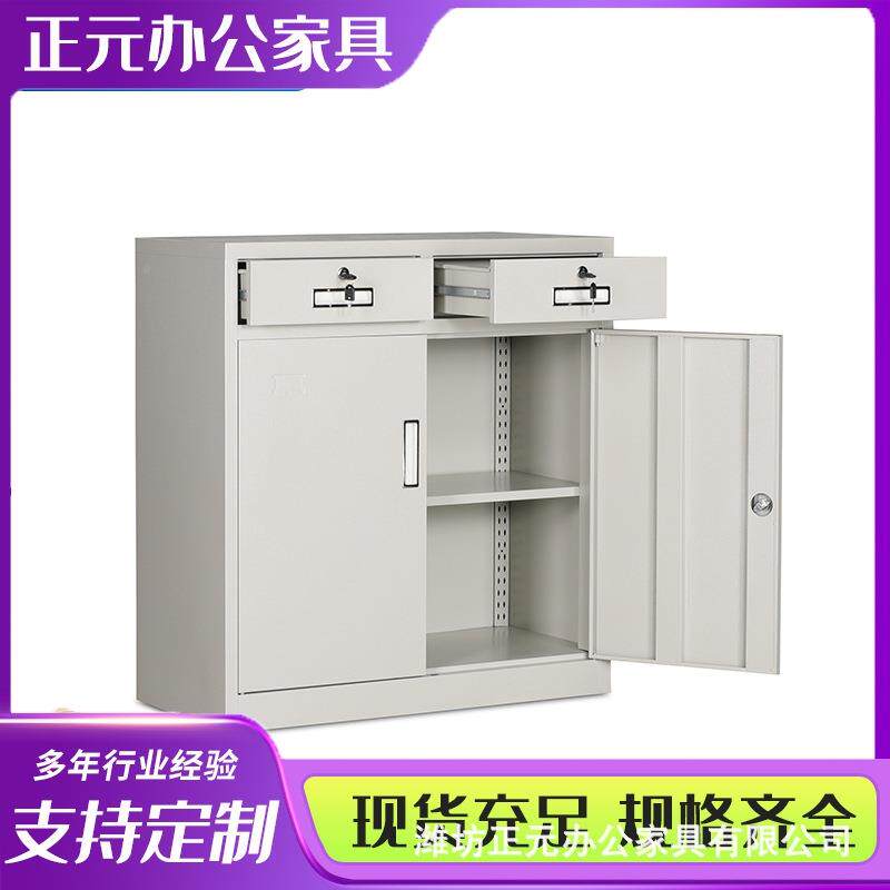 特办公室文件柜司储公物财收纳柜带锁务CCS室凭证柜办公室资厚料