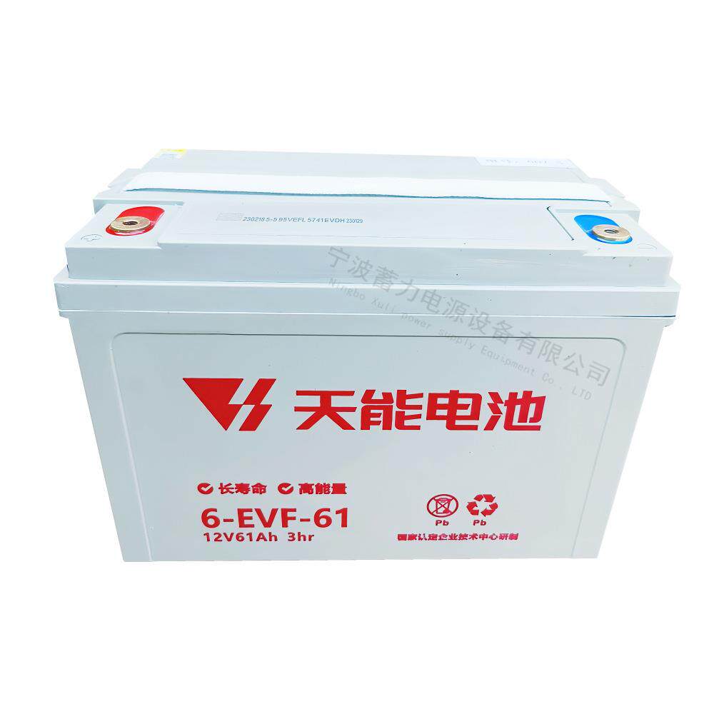 天能6EVF61-3蓄电池台励福龙工中力达西林诺力托盘搬运车叉车电瓶