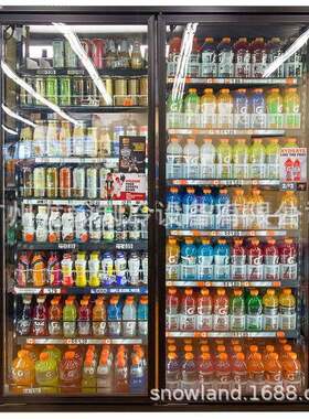 冷藏啤酒柜冰箱便利店饮料展示柜酒吧立式冰柜风冷双门冷饮柜