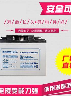 理士铅酸蓄电池DJM12100电厂机房太阳能风能专用质保三年