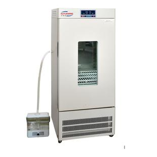 HYM M霉菌培养箱100L恒温培养箱45×43×53沪粤明培养箱 100