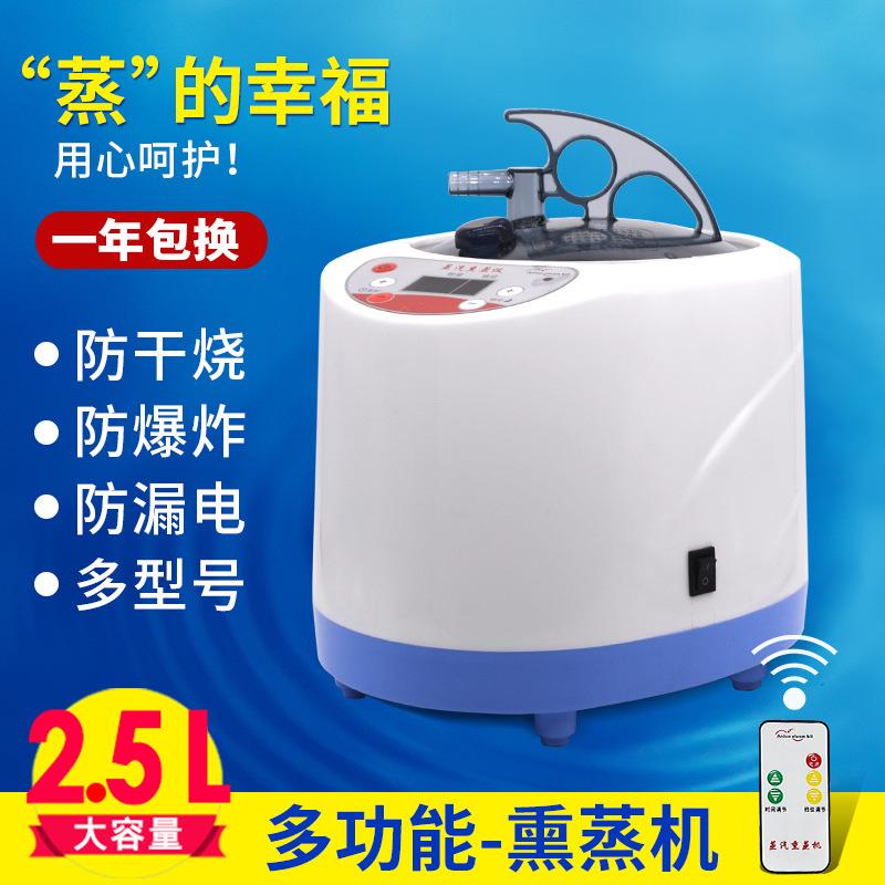 保健熏蒸仪2L足浴熏蒸机家用蒸脚桑拿房用蒸汽机蒸汗锅浴箱机