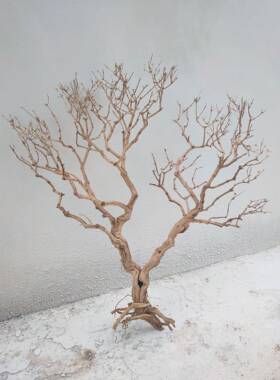 白色干枯枝干枝许装愿树树枯树树干霸王根造型EPL树假树仿真枝饰