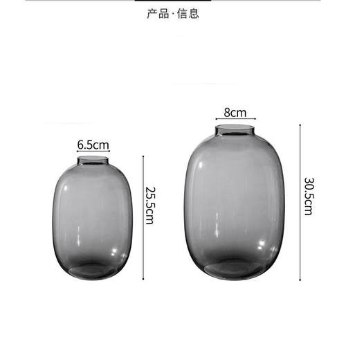 感花瓶件玻璃水培钟雪柳摆马醉木F969T58M花水养插鲜花吊客厅落地