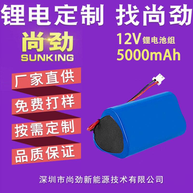 直销供应12V电池5000mAh安防产品电池监控仪电池