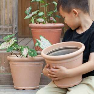 虹越梵谷圆型仿陶土花盆简约树脂耐用塑料花盆花卉室内外种植盆