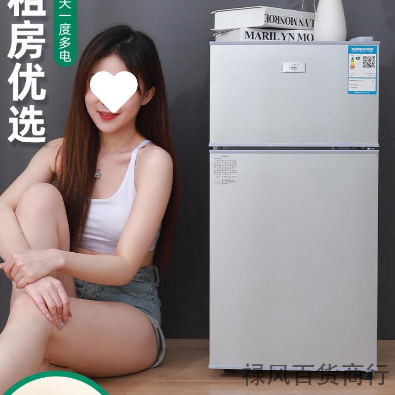 新品小冰箱家用小型宿舍租房用冷冻冷藏迷你双开门电冰箱一级节能