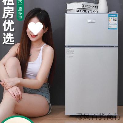 新品小冰箱家用小型宿舍租房用冷冻冷藏迷你双开门电冰箱一级节能