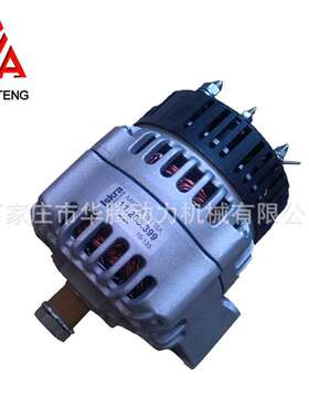 道依茨BF4M1011 发电机 0117 5731 0117 8521 01175731 01178521