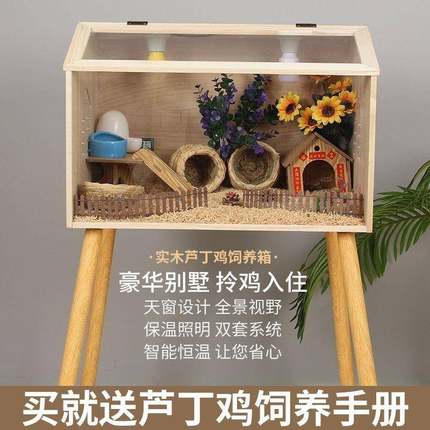 卢丁鸡饲养箱育实木芦丁宠物养饲箱套观赏屋养殖雏恒温LIB箱鹑窝