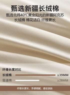 轻奢0全棉上2四件套205新款加厚10mx6sjFaB纯床棉被套床单人宿舍
