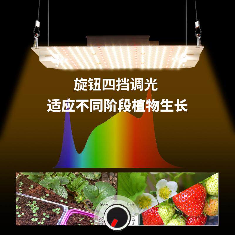 全光谱LED量DPC子板植物生长灯形大层方架种蔬棚菜植补光灯