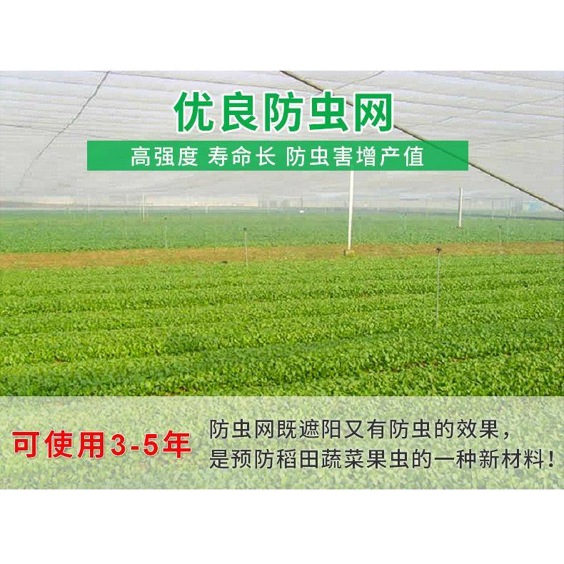 40目50目60目蔬菜大棚防虫网销售加工乙烯防鸟大棚防虫网