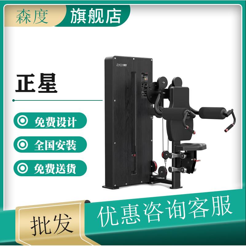 正星坐式肩侧上举训练器三角肌锻炼器材力量健身器材J7103高级黑