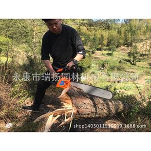 动力质保一年 高品质园林机械 供应5900油锯 汽油锯