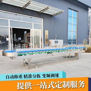 鸡腿鸡珍料盒式自动称重分选机对虾海参分选机水果重量分拣机