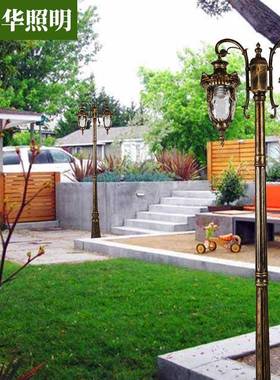 3.5米花园别墅双头庭院灯LED小区景观路灯中山压铸铝院子灯