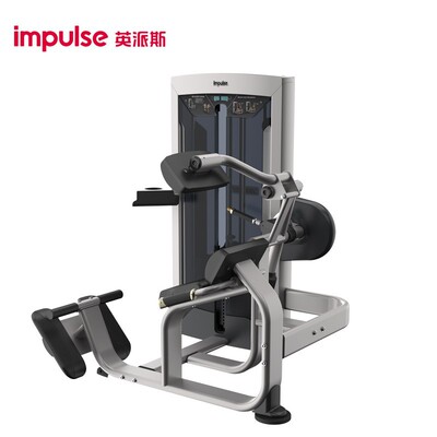 英派斯FE9732商用坐姿背肌伸展练习坐式腰背部后压腰背肌训练器械