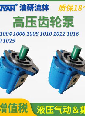 A1FL高压B1FR齿轮泵CBK1004/1006/1008/1010/1012/1016/1020/1025