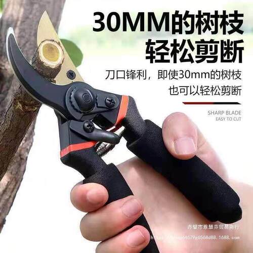 康烁百货加厚5钢树枝剪刀修枝剪刀果树园林苗圃修剪刀厂直销