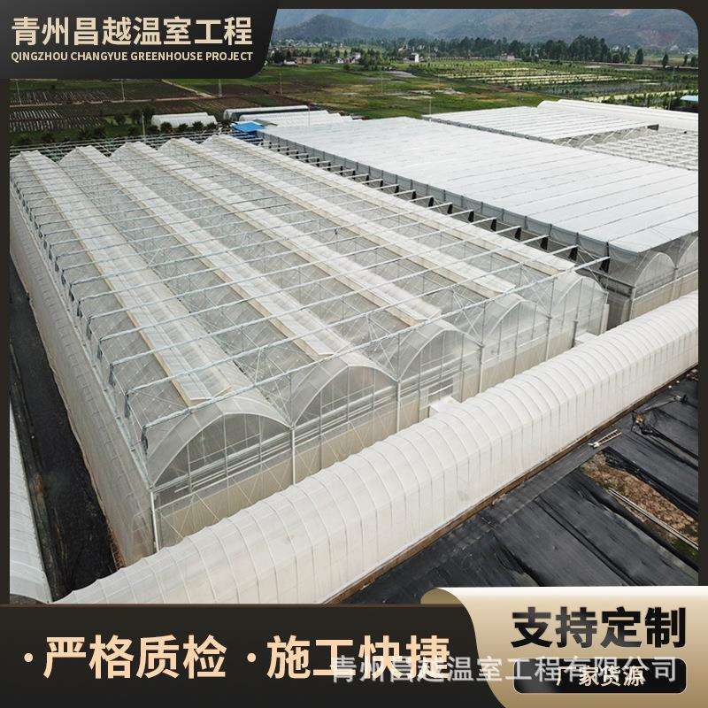 连体po膜覆盖薄膜温室智能双拱双模圆拱形拱棚菊花育苗温室基地