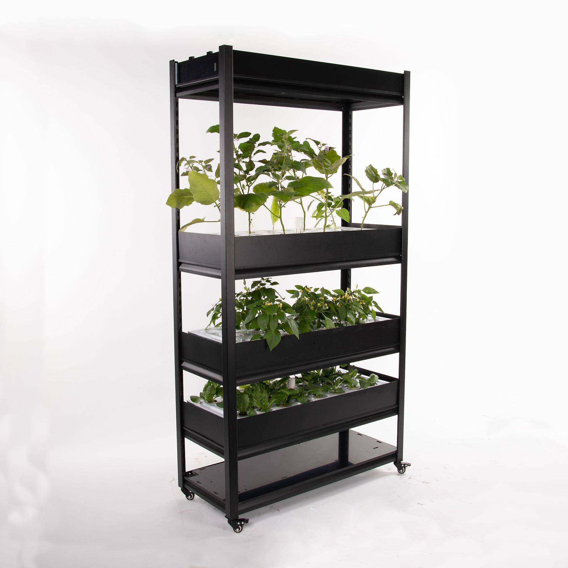 室内水培种菜机无土栽培种植机智能种菜机植物工厂设备包邮